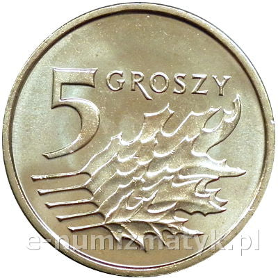 5 gr 2014